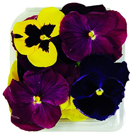 Fiori Commestibili BIO LOGICI - 15 Veilchen in gemischten Farben in einer Lebensmittelschale von 10 cm x 10 cm x 2,0 cm - in der Toskana vom Bauernhof Carmazzi angebaut