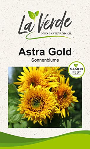 Sonnenblume Astra Gold Blumensamen