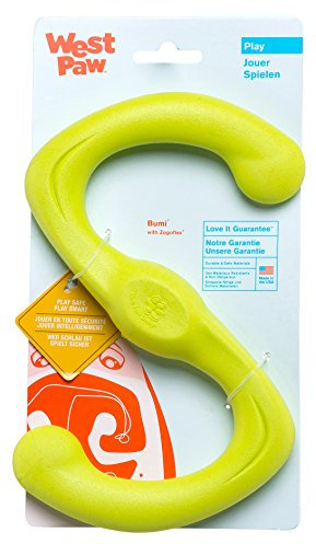 West Paw 27580 Bumi Small, Lime