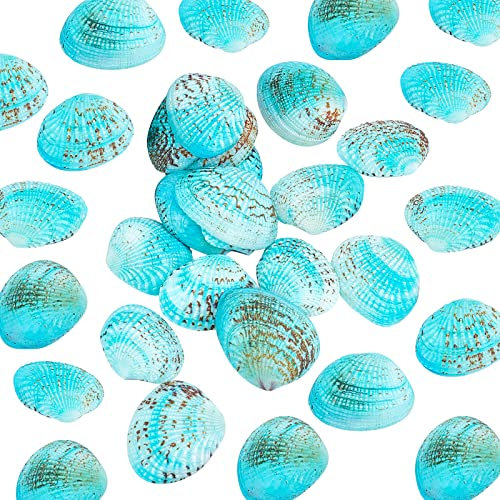 PH PandaHall 35pcs Bleu Perles de Coquillages Naturels, Coquilles Saint-jacques Non Percées Coquillages de Plage de Palourdes Bleues pour Maison Fête Mariage Décor Remplisseur Vase Aquarium