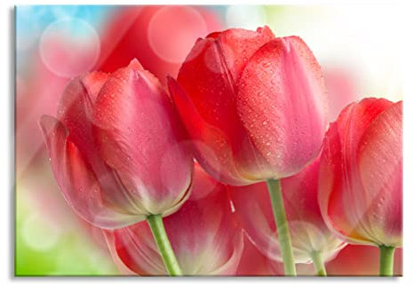 Pixxprint Glasbild, Wandbild aus Echtglas, Rote Tulpen, 60x40 cm, inkl. Aufhängung und Abstandshalter