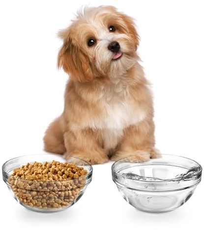 2 Pack Glass Bowls for LFTYTUO Pet Feeders Stand, Replacement Cat Dog Glass Bowl, Easy to Clean Food Water Bowls, 30oz/1000ml