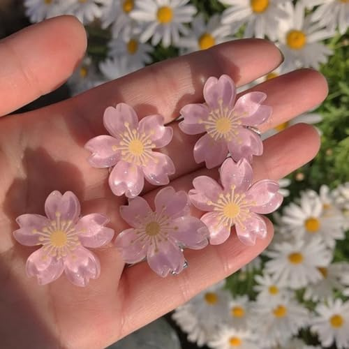 Lot de 5 barrettes à fleurs, petite pince a cheveux femmes, mini pince crabe pour fête d'anniversaire, mariage, quotidien