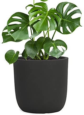 Pflanzwerk® Fioriera Vaso di Fiori Vetroresina Cup Ø34cm Antracite Resistente al Gelo* *Protezione UV* * Beni di qualità*