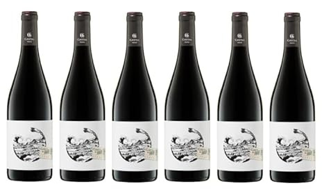 6x 0,75l - 2023er - Domaine Gayda - Sphère - Syrah - Pays d'Oc I.G.P. - Frankreich - Rotwein trocken