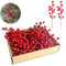 35 Pack Christmas Tree Decorations,9 inch Artificial Red Berry Stems,Red Berries Christmas Decor Christmas Tree Decorations Crafts Wedding Holiday Season Winter Décor Home Decor