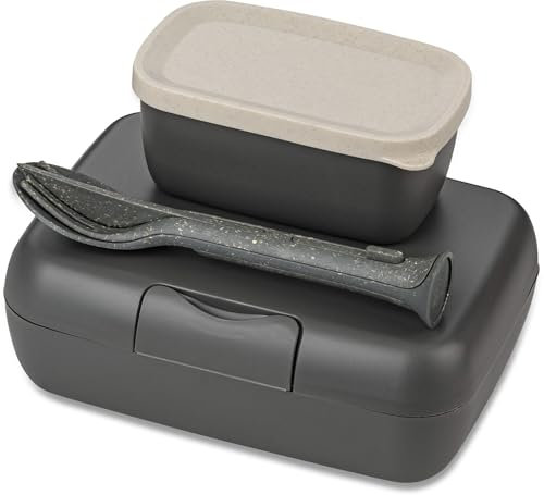 CANDY READY Lunchbox-Set + Besteck-Set nature ash grey