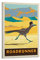 Vintage-Poster Wildlife Roadrunner Poster Dekorative Malerei Leinwand Wandposter und Kunstbild Druck Moderne Familie Schlafzimmer Dekor Poster 20 x 30 cm