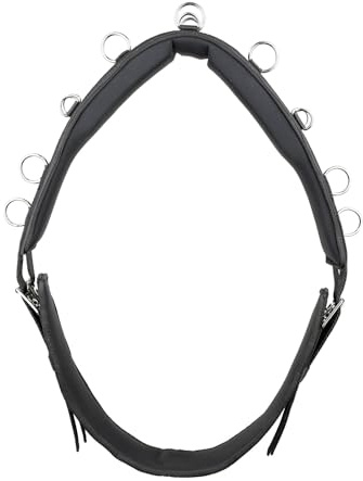 Kieffer Longiergurt Essentials Circle, schwarz (Vollblut)