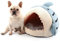 Hifrenchies Shark Haustierhaus für Französische Bulldogge, Haifischhaus, waschbar, Hundehöhle und Bett mit abnehmbarem Kissen, Haifischbett und Haus für Hunde und Katzen (Größe L, Blau)