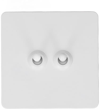 Interruptor de Palanca de Pared de Doble Polo, Panel de Acero Inoxidable con Base de PC Aislada, 2 Bandas, 2 Vías, Minimalista, AC250 V para Uso en el Hogar y la Oficina