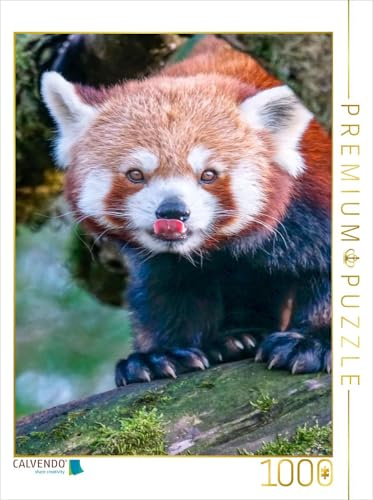 CALVENDO Puzzle Roter Panda | 1000 Teile Lege-Größe 48 x 64 cm Foto-Puzzle für glückliche Stunden
