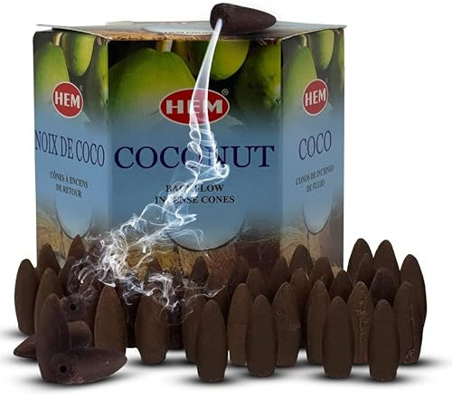 Cônes d'encens à refoulement en noix de coco pour cascade, fumée aromatique, fontaine, brume