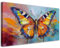 Feeby Bilder - Foto Geschenk - Bunter Schmetterling - 120x60 1tlg - Leinwandbilder Wohnzimmer - Wandbild über dem Bett - Bild Schlafzimmer - Aesthetic Zimmer Deko - Modern Pictures