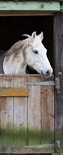 A.Monamour Sticker Porte Autocollant Poster De Porte 3D Cheval Dans Le Thème Des Animaux Stables Vinyle Affiche De Porte Sticker Mural Papier Peint Art Décor 77 x 200 cm