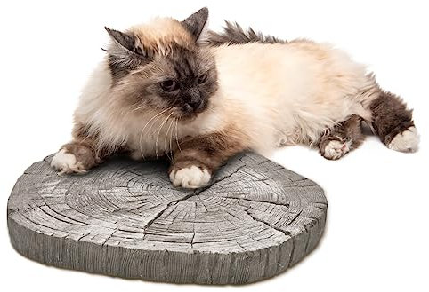 STONETEC Trittsteine Baumscheibe für Garten und Gehwege - 4 Trittplatten im Set - große Gartenplatten aus Beton Stein je Ø 30 cm