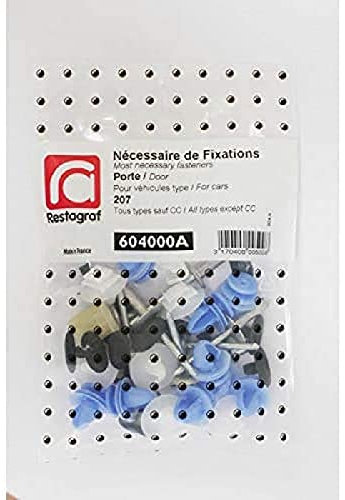 Restagraf - Kit de Fixations pour Portes 207 Toutes Versions sauf Cabriolet (03/2006 à 12/2012) - Réf. 604000A - Sachet de 43 Pièces