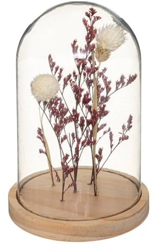 Atmosphera - Fleurs séchées sous Cloche Gypsy H17 cm - Prune