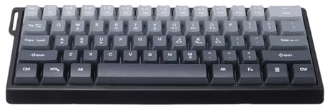 Plyisty Wired Gaming Keyboard, 61 Keys 60 Percent RGB Backlit Compact Computer Keyboard Ergonomic Zero Input Lag with Lanyard for Laptop PC Gradient