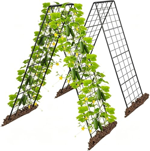Koioplie 2er Gurke Rankhilfe a-Rahmen 4mm 40x100cm 6x5Gitter Gurkenpflanzen