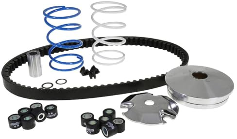 POLINI SPEED Control ECO KIT Variomatik kompatibel | kompatibel mit Peugeot Speedake, Speedfight 2, Speedfight 3, 307 WRC LC; 2 Sätze Variorollen 16x13 mm 4,9 g/5,6 g, Keilriemen
