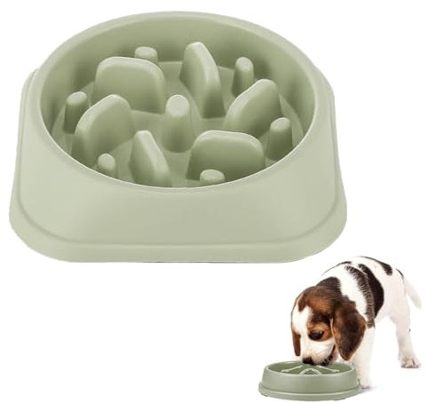 Gamelle Anti Glouton Chien,Gamelle Anti Glouton Chat et Chien,Favorise Digestion Lente,pour Petits/Moyens/Grands Animaux de Compagnie(Vert Clair)
