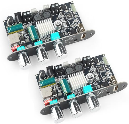 2Pcs ZK-1001U Mono Amplifier Board with TWS, 100W Power Output, Vehicle Amplifier Supports USB/AUX/Bluetooth,Wide Voltage Input DC9-24V