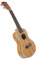 Ukulele Sopran-Konzert-Ukulele 21 Zoll Zebra-ABS-gebundenes Gitarrensaiteninstrument(2)