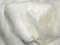 Uni Amusant Faux Fourrure Tissu Matière ECRU (blanc cassé) - Blanc, 1Mtr - 150cmx100cm