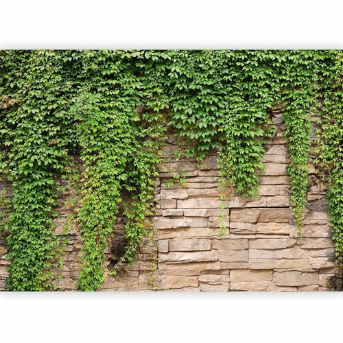 Fototapete murando Vlies Steine Mauer Efeu, 250x175 cm, Schlafzimmer | Full HD Druck, 3D-Effekt, lichtbeständige Farben, ideal fürs Wohn- oder Schlafzimmer, schnelle Montage, lichtbeständig, edel