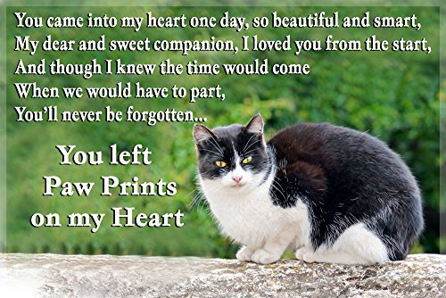 Black and White Cat Fridge Magnet Rainbow Bridge cat Memorial