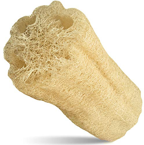 Loofah Moments Luffaschwamm | Dein Badeschwamm für ein gesundes Peeling | Luffah Naturschwamm zur Hautpflege | 100% Kompostierbar