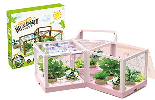 Pflanzset for Kinder Science Botanics, aufregendes Gewächshaus for Zuhause, Mädchen und Jungen im Alter von 6–12 Jahren, züchten Sie Ihr eigenes anderes Gemüse (einschließlich Samen und Pflanzzubehör)