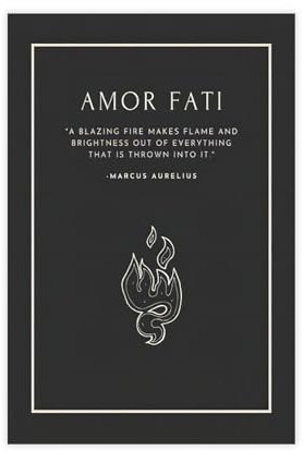 TINGTOEO Amor Fati Stoic Leinwand-Poster, Schlafzimmer-Dekor, Sportlandschaft, Büro, Raumdekoration, Geschenk, ungerahmt, 30 x 45 cm