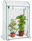 AMHANCIBLE Serre de Jardin, Serre à Tomates avec Zip Enroulables, Bâche PE, Petite Serre Balcon Hivernage, pour Plantes, Anti-UV, Résistante à la Pluie et à la Neige, Toit Pointu, Blanc, 100x50x150cm