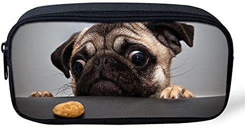 Biyejit Federmäppchen mit niedlichem Mops-Motiv, für Schüler, Kinder, Schule, Schreibwarenbeutel, Reißverschluss, tragbare Kosmetiktasche