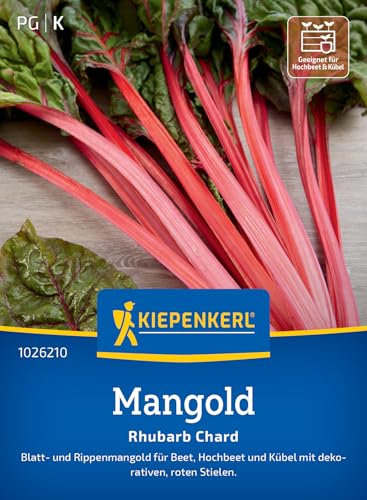 Kiepenkerl Mangoldsamen Rhubarb Chard 1026210 - Blatt- und Rippenmangold, attraktive rote Stiele & rot-grüne Blätter, ideal für Beet, Hochbeet und Kübel