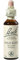 ORIGINAL BACH-BLÜTEN Wild Rose Tropfen Nr. 37,20ml