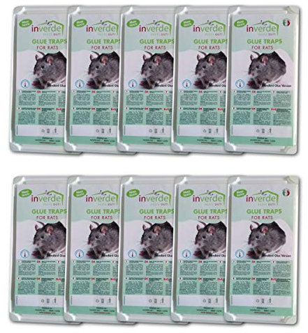 NUISIPRO 10 Lots = 20 plaques collantes, pièges à Rats et Souris très Efficace