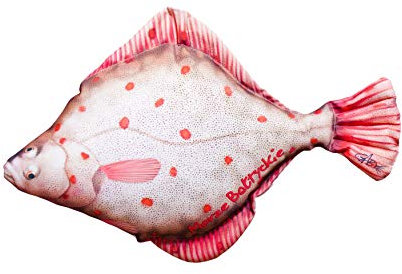 GABY Fish Pillows Dekoratives Kissen in Form des echten Fisches, Flunder