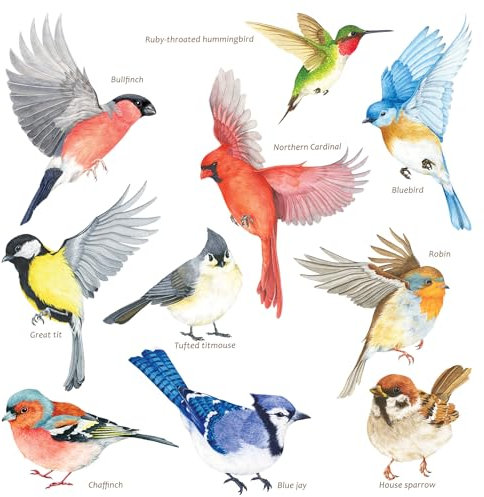 DECOWALL CDS2-9001 10 Beautiful Garden Birds Static Cling Window Stickers Reuseble for Prevent Glass Clings Flying Anti Collision Bird Strike Window Decals - Double Sided Print