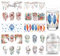 arricraft 10 Blatt Traumfänger UV DTF Cup Wrap Für 16OZ Glas Federn Blumen Zweige Monde Abziehbilder Traumhafte Transferaufkleber Für DIY Flaschen Wandfenster Boho Dekor Frauen