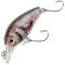 Major Fish Forellen Barsch Wobbler Lil Bill Crankbait 38 mm Real Roach