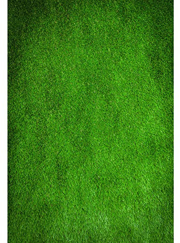 Aoihrraan 1,5x2,2m Abstrakt Grün Wand Hintergrund Frühling Natur Gras Rasen Wand Fotografie Hintergrund Hochzeit Shootings Baby Dusche Geburtstag Party Mädchen Jungen Erwachsene Portrait Foto Prop