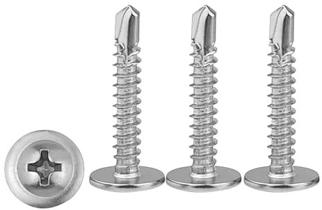 CANGCANG 120pcs Vis Autoforeuse Metal, 4.2x25 mm Vis Inox Autoperforante,à tête large bombée à empreinte PH/cruciforme,à Tête Bombée Modifiée en Inox 410