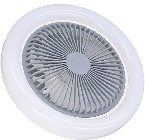 fansheng Ventilateur de Plafond avec Lumière, 9.8In 30W 2400Lumen Lampe LED Intelligente pour Ventilateur Plafond pour Maison, Chambre à Coucher, Salon, Garage, Ventilateur de Lustre, E27