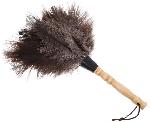 Wiederverwendbarer Staubwedel aus Plume und Holz für Möbel und Fahrzeuge