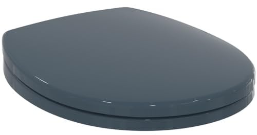 Ideal Standard S4065RN Original Contour 21+ WC Sitz in Sandwich Design, Klodeckel Toilettendeckel Toilettensitz, Anthrazit