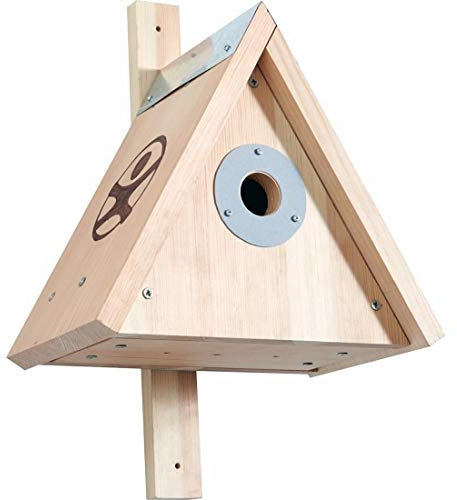 Kit de construcción de nido para niños Terra kids