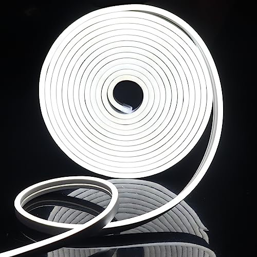 EXTRASTAR 5m Ruban Led 12V Flexible Bande Led Néon Lumière Blanche Étanche Ip65 120 LEDs/M pour Intérieur/Extérieur Décoration(Non inclus Adaptateur Secteur)